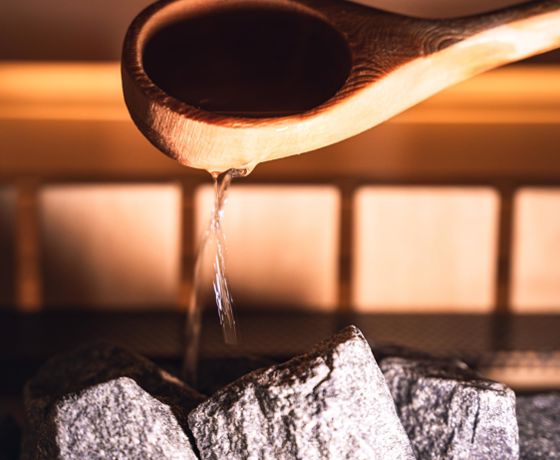 fernblick-sauna-0811